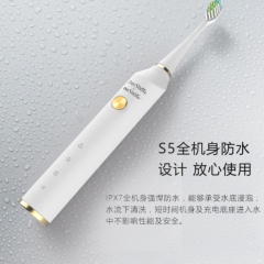 DayShow-S5电动牙刷